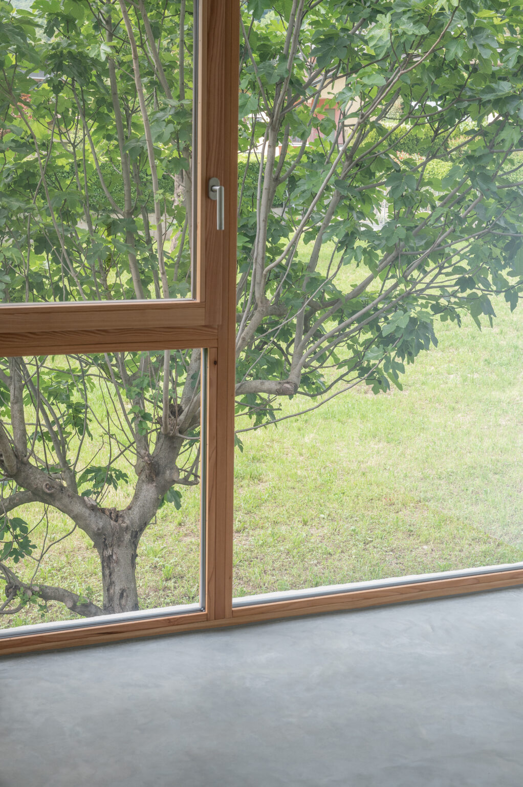 P CAPRIASCA©Albo-34